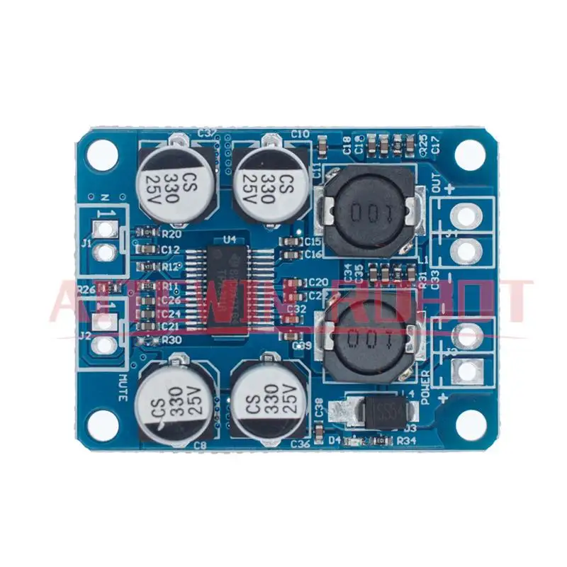TPA3118 60W Mono Amp Board