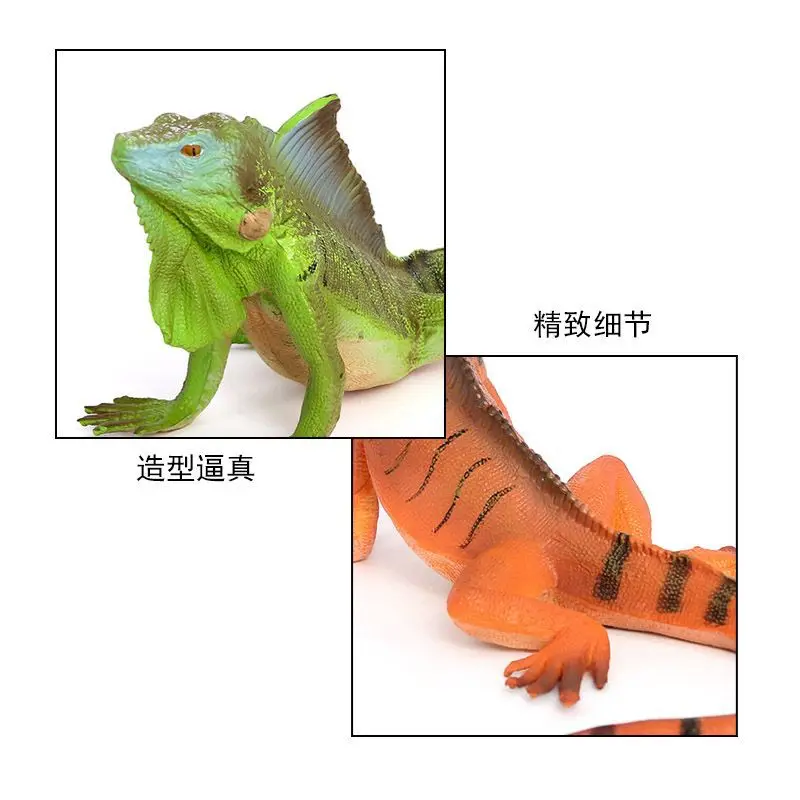 Simulado modelo de réptil selvagem lagarto sólido estático iguana americana brinquedo de plástico ornamento cognição infantil