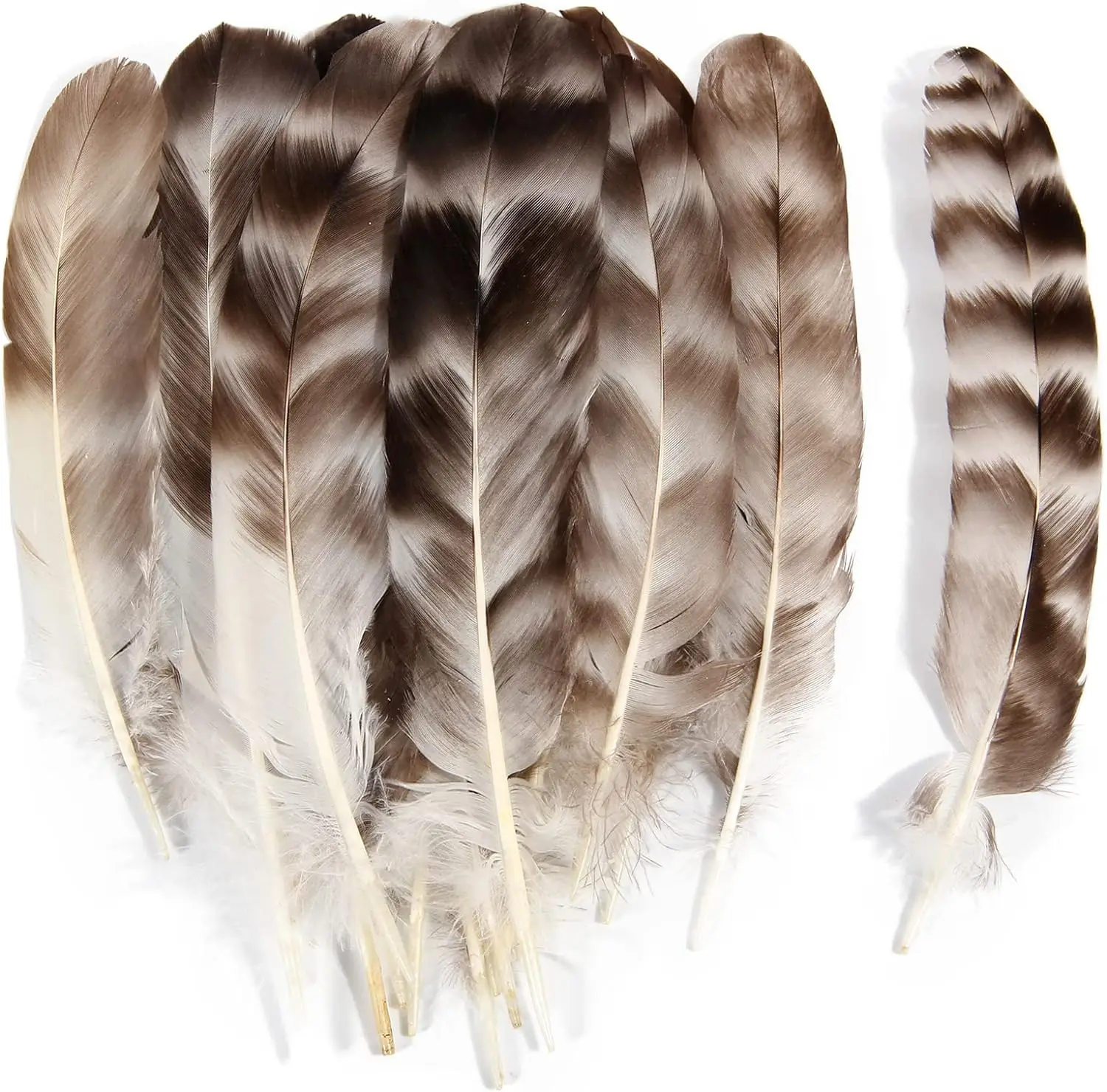 50pcs Chinchilla Feathers 6-8inch 15-20cm DIY Crafts Traditional Festival Party Clothing Decoration Reeded Chicken Feathers