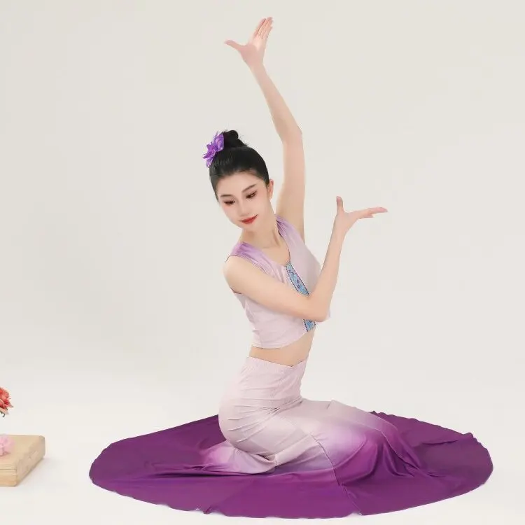 Dai Dance Costumes Female Adult Performance Costumes Practice Dance Clothes Peacock Dance Art Test Wear