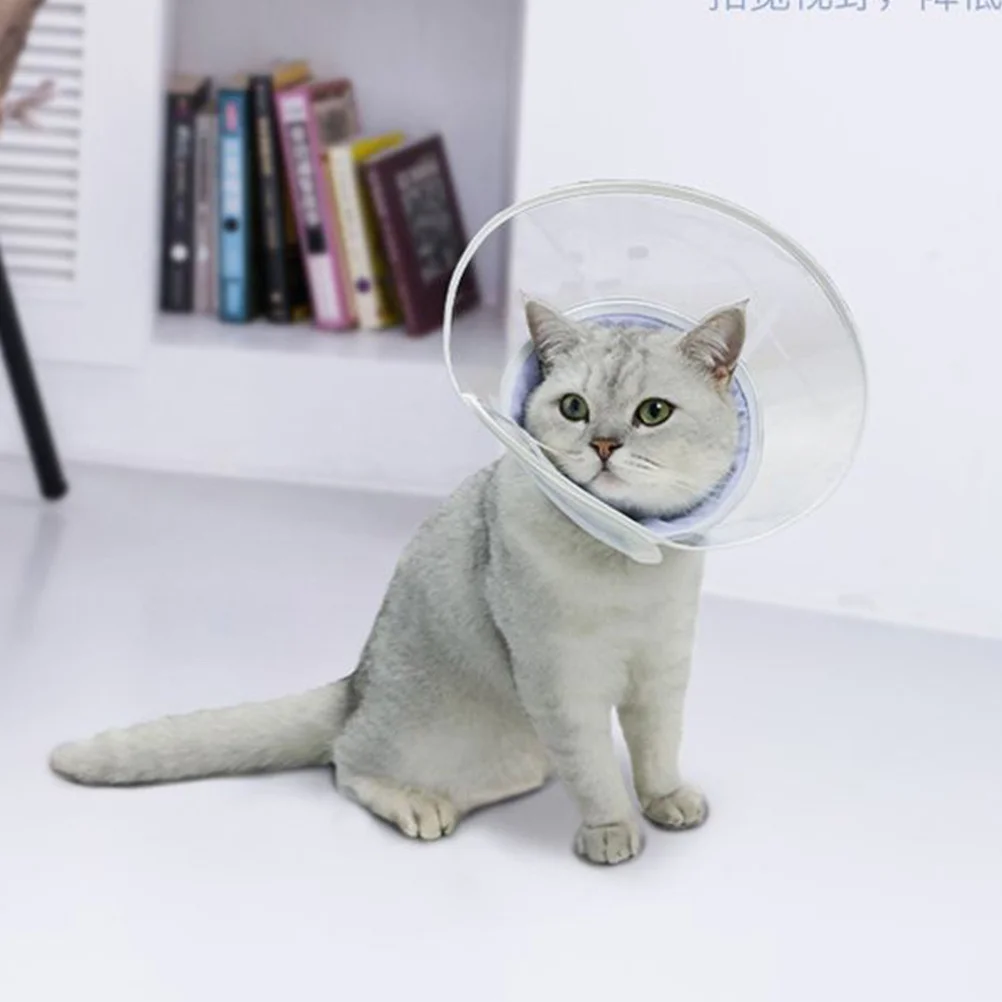 

Transparent Sterilization Size L Lightweight Durable Pet Recovery Collar For Cat Dog Kitten Post-Surgery