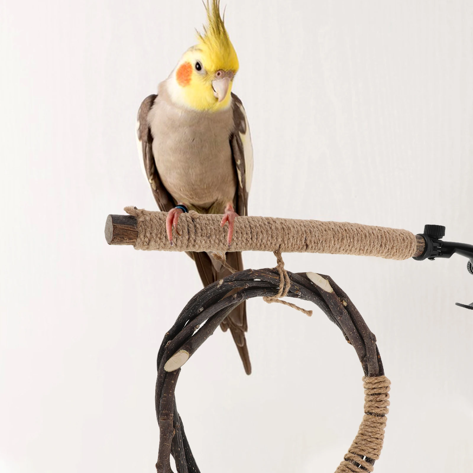 

Multifunctional Parrot Perch Stand Natural Wood Suction Cup U-Shaped Play Rest Exercise Platform Bird Cage Accessory For Macaw