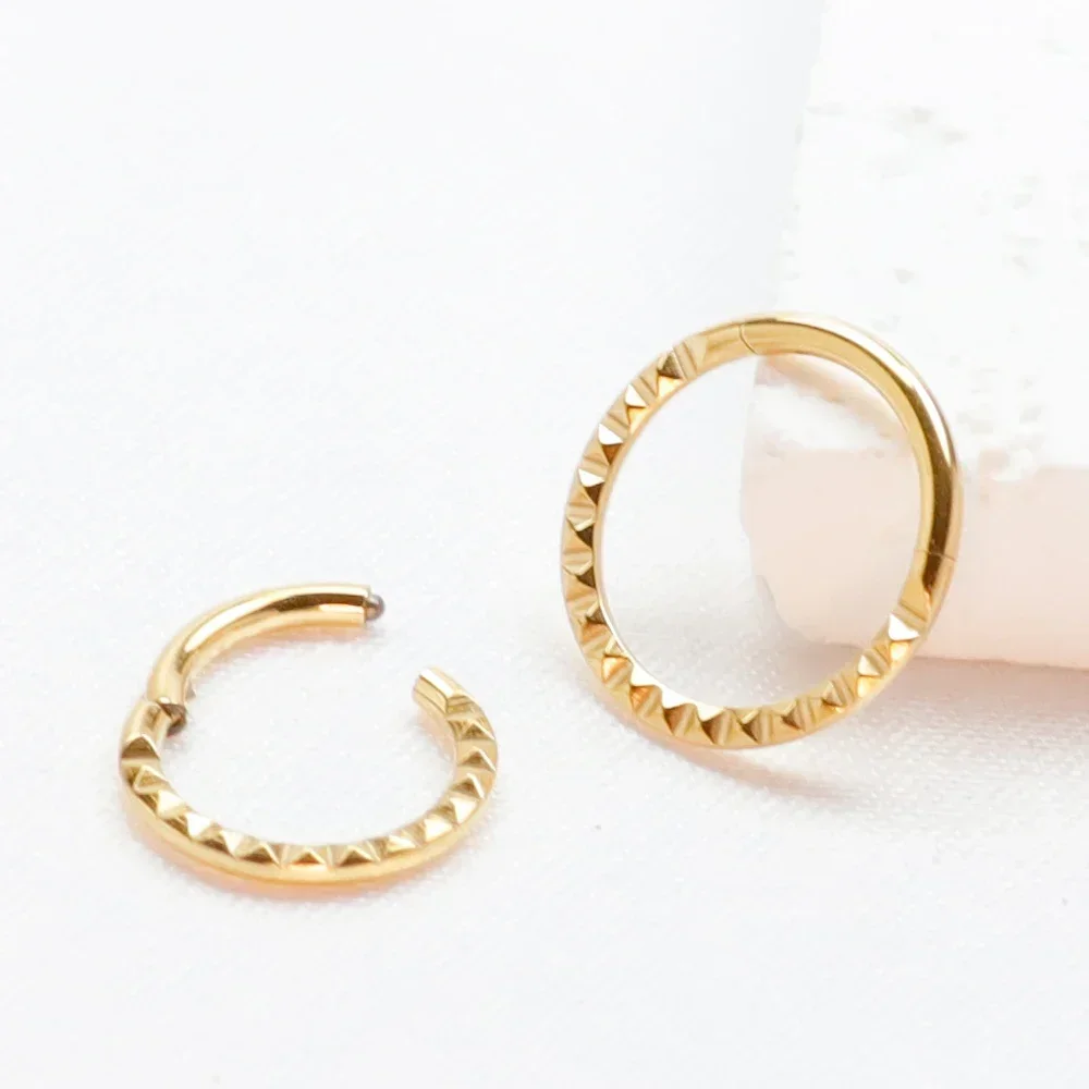 F136 Titanium Tragus Piercings CZ Nose Ring Hoop Cartilage Earring Stud Helix 16g Hinged Septum Charming Segment Body Jewelry