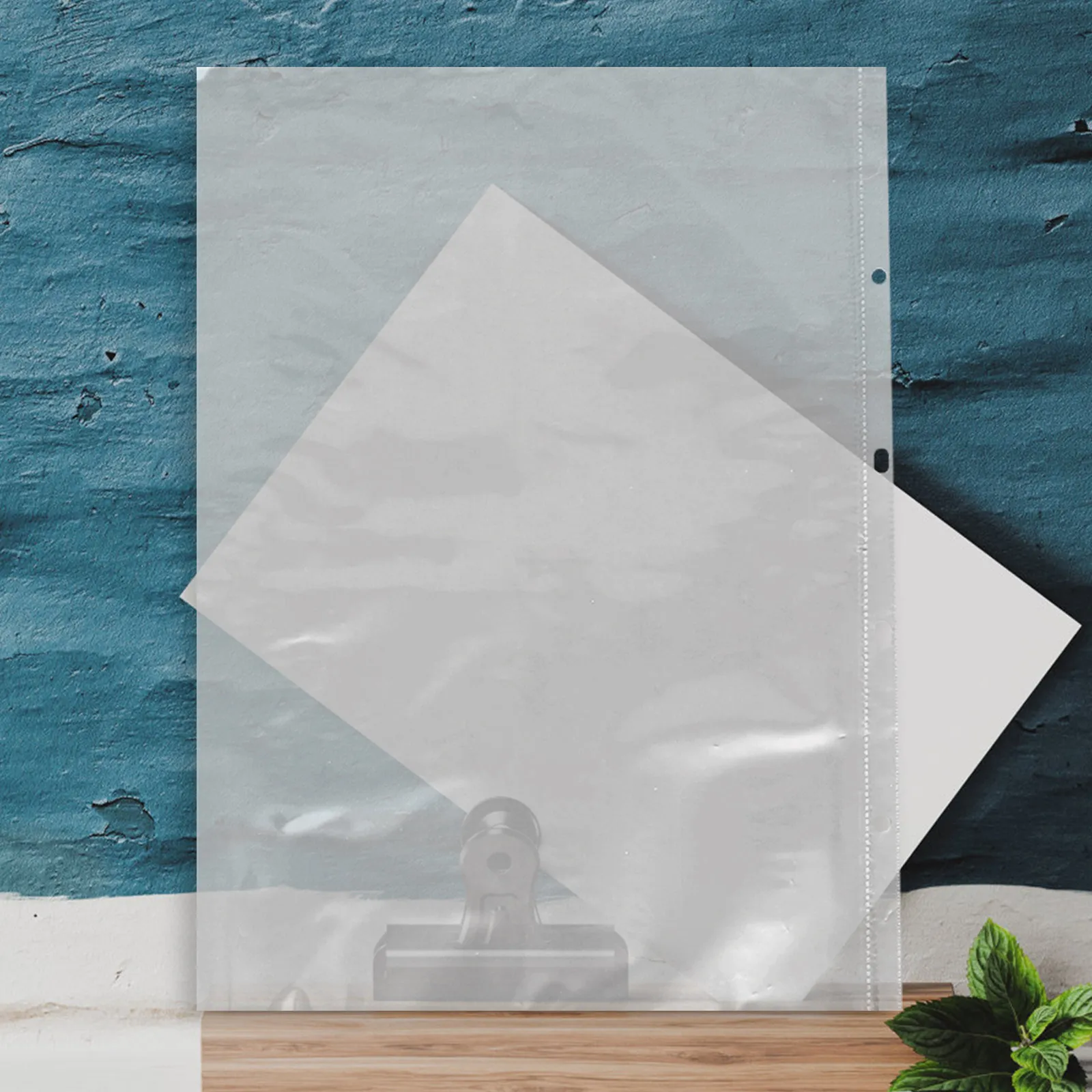 

40Pcs Clear Plastic Sheet Protectors for File Folders Reusable Page Insert Sleeves for Documents Photos Postcards Binder