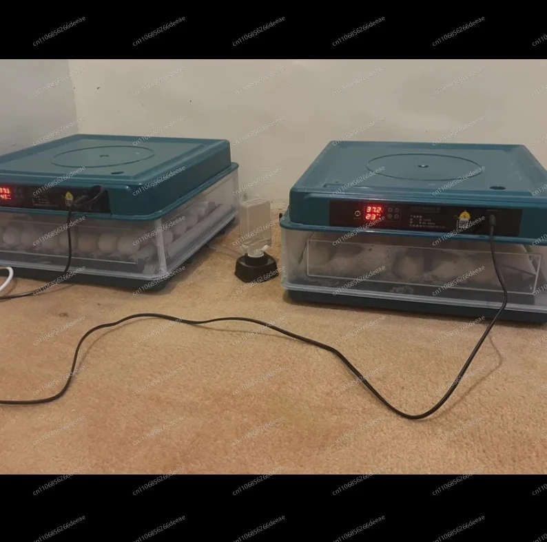 Smart Automatic Water Adding Egg Incubator Digital Poultry Hatching Machine Fit Chicken Duck Goose Pigeon Home Breeding