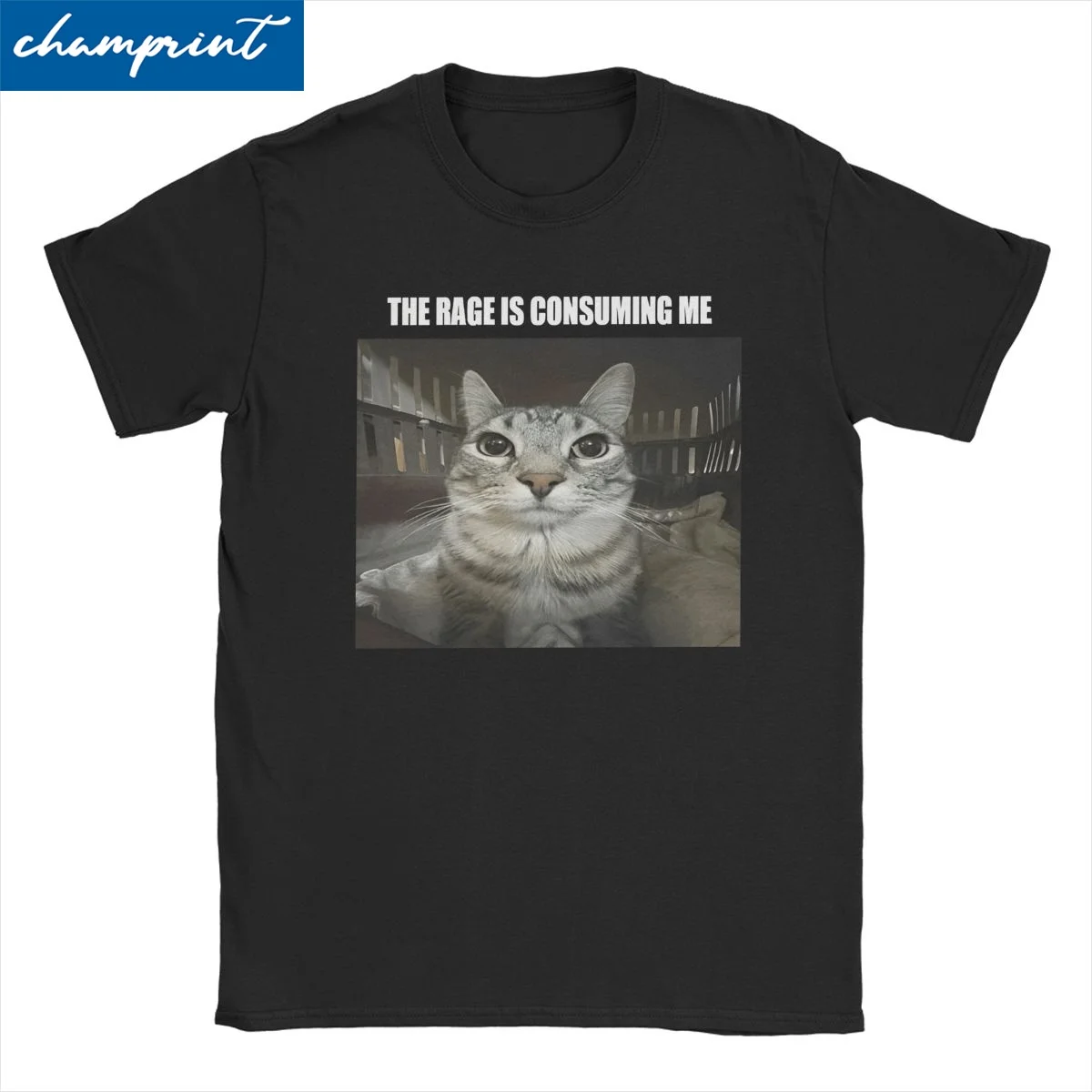 Rage Is Consuming Me T-Shirts Men Women's Crew Neck 100% Cotton T Shirt Silly Staring Cat Meme Short Sleeve Tees Adult Clothes