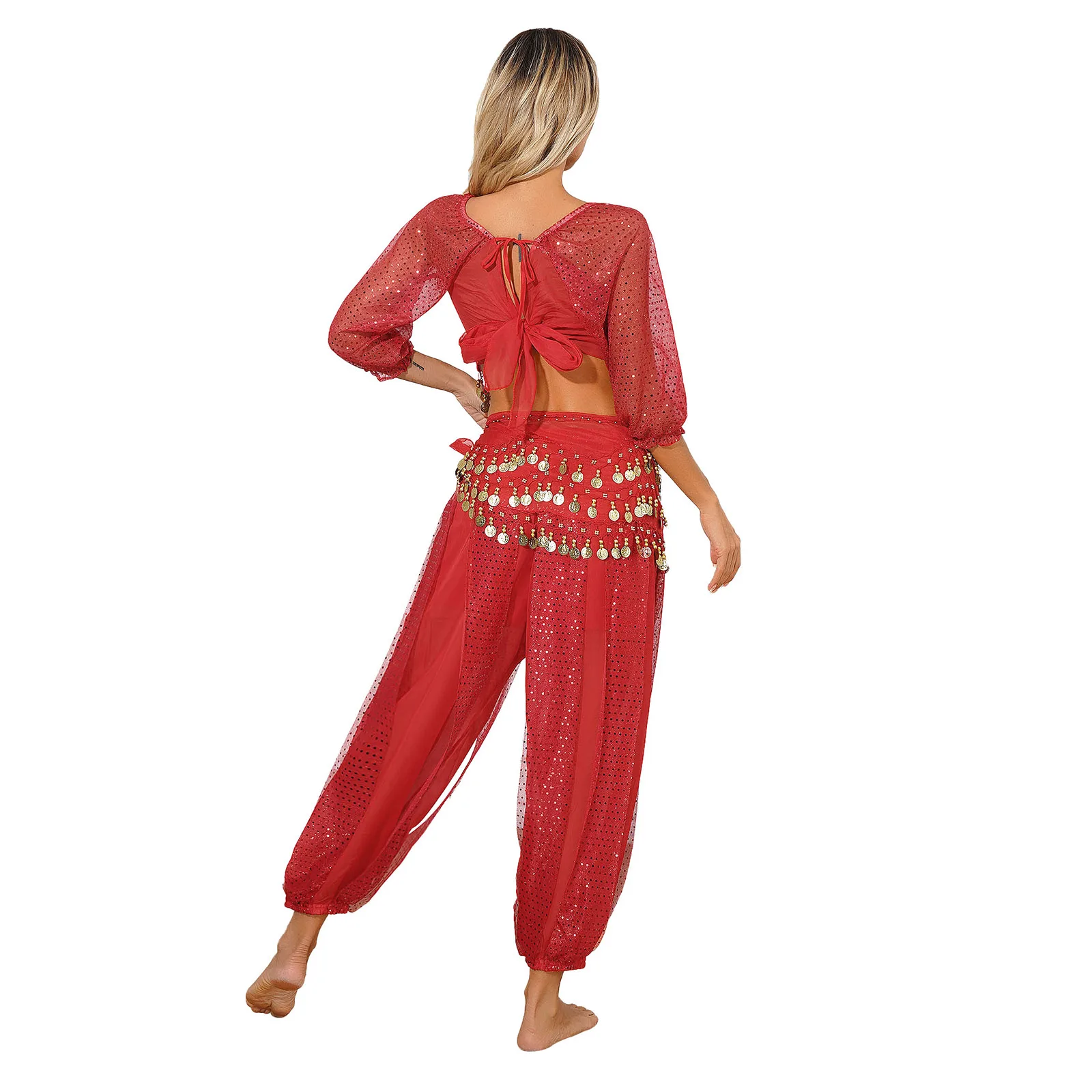 Frauen Bauchtanz Kostüme indischen Tanz Bollywood Outfit glänzende Münzen Crop Top Harem Hosen und Hip Schal Party Performance-Set