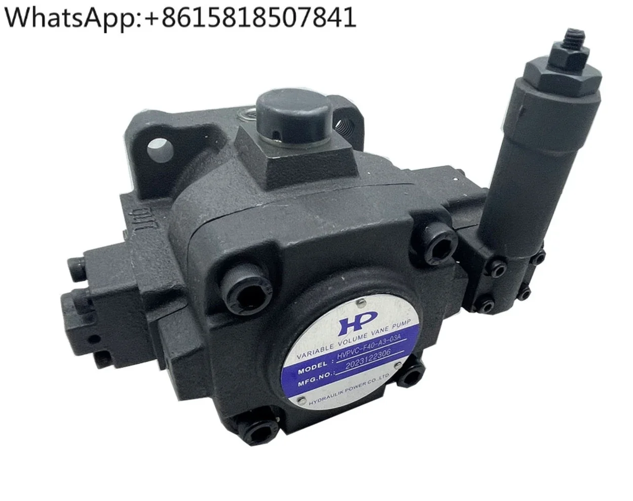 Hydraulic oil pump HVPVC-F40-A5-02/F30-A4/A1/A3/A2/-02 vane pump