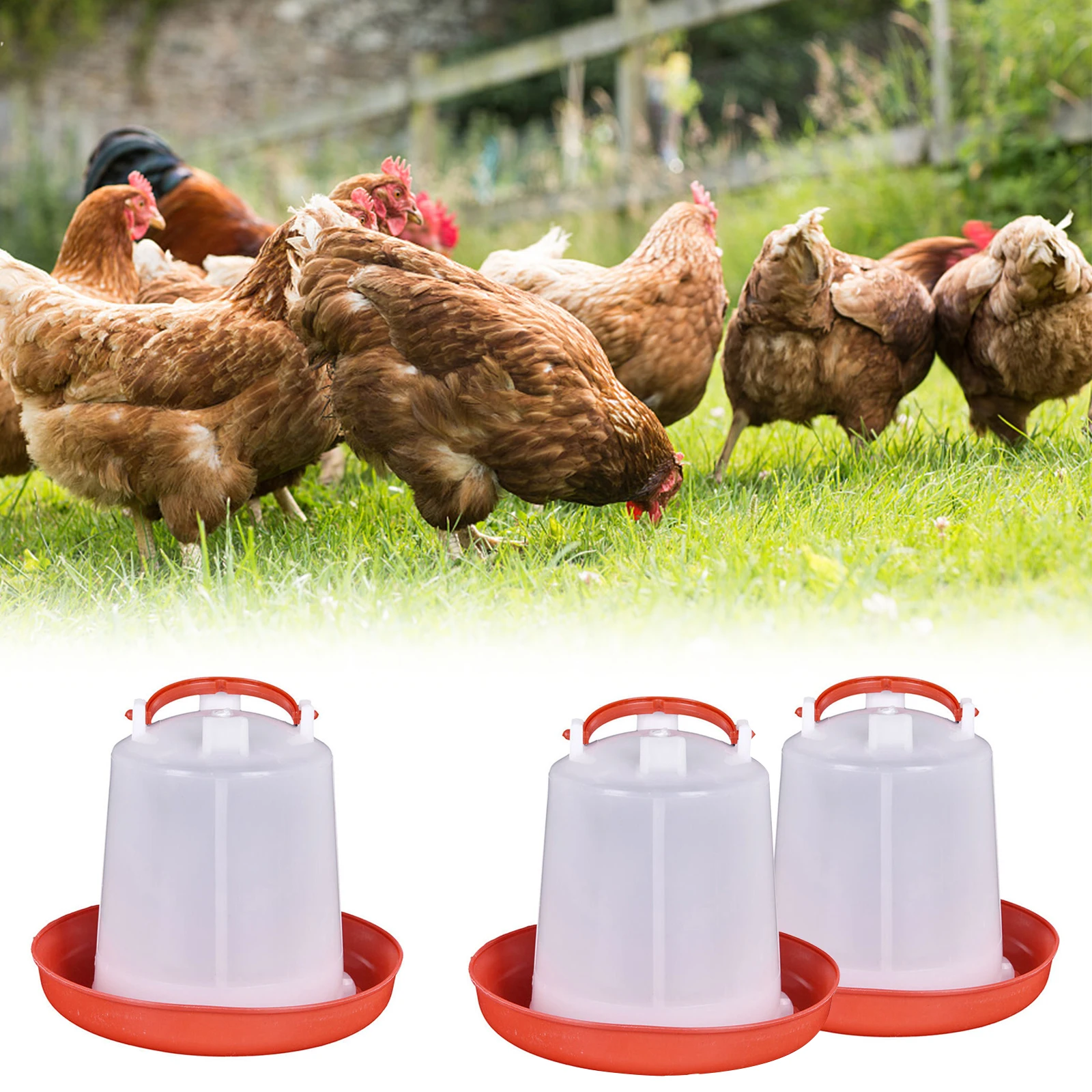 Poultry Water Dispenser Bucket,Chicken Farming Machine Bucket,Quail Drinking Water Bucket, Farm Chicken Coop Water Supply （1L）