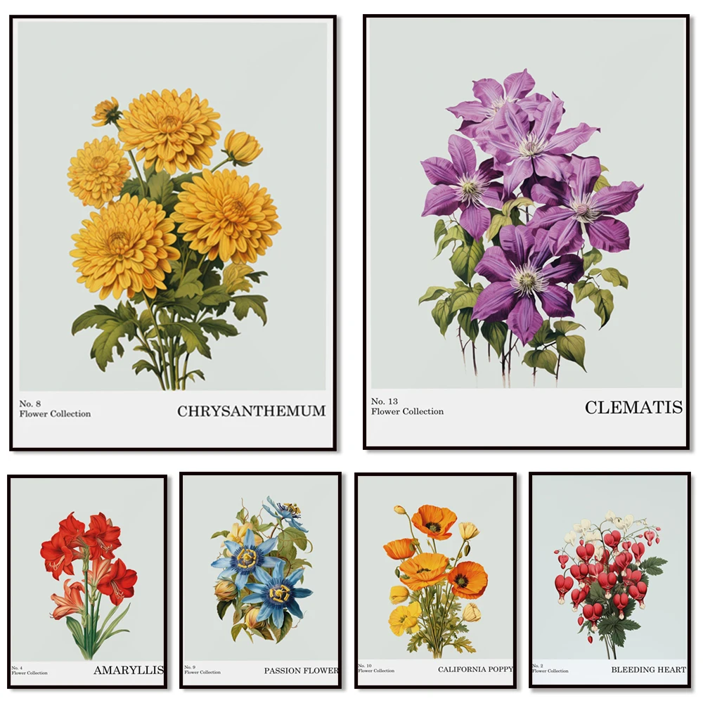 Clematis flowers, carnations, black-eyed Susans, passionflower, violets, daisies, English roses, amaryllis flower market poster