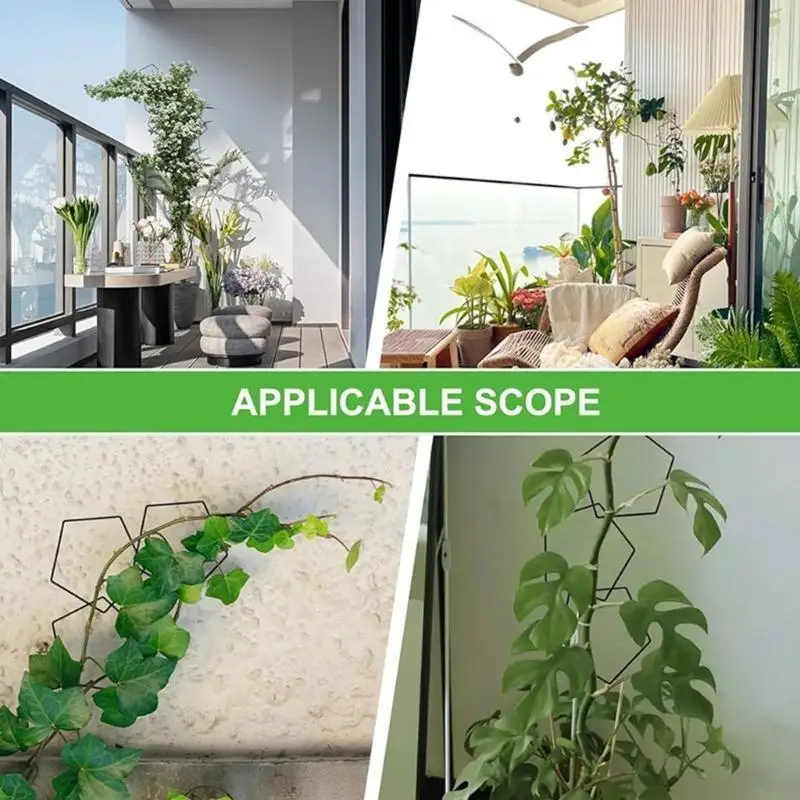 Iron Stakes For Creepers Growth and Stability Vegetable Climbing Plant Support Trellis Garden Plant Stem Flower Bracket X3UC