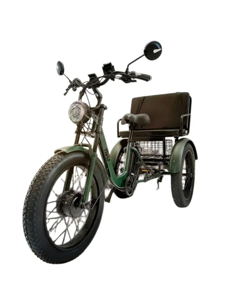 AliExpress NONE 24 Inch 3 Wheels Off Road Electric Bicycle Mountain With Passenger Seat For Adults 750W Electric Tricycle 2 Seat For Elderly