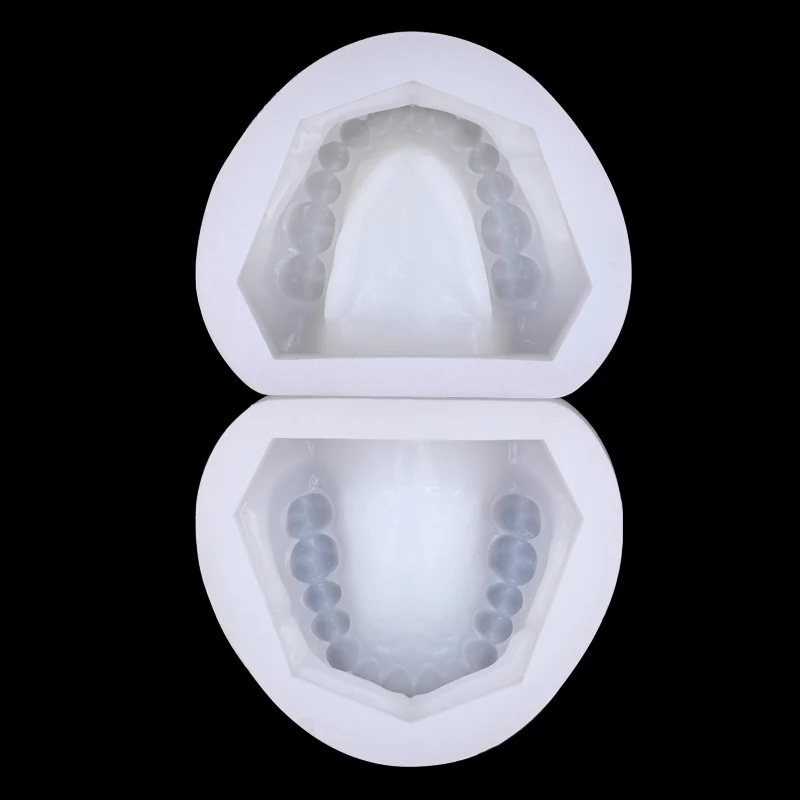 2Pcs Dental Silicone Plaster Model Mold Complete Cavity Block Mould Base Standard Full Teeth Dentistry Equipment