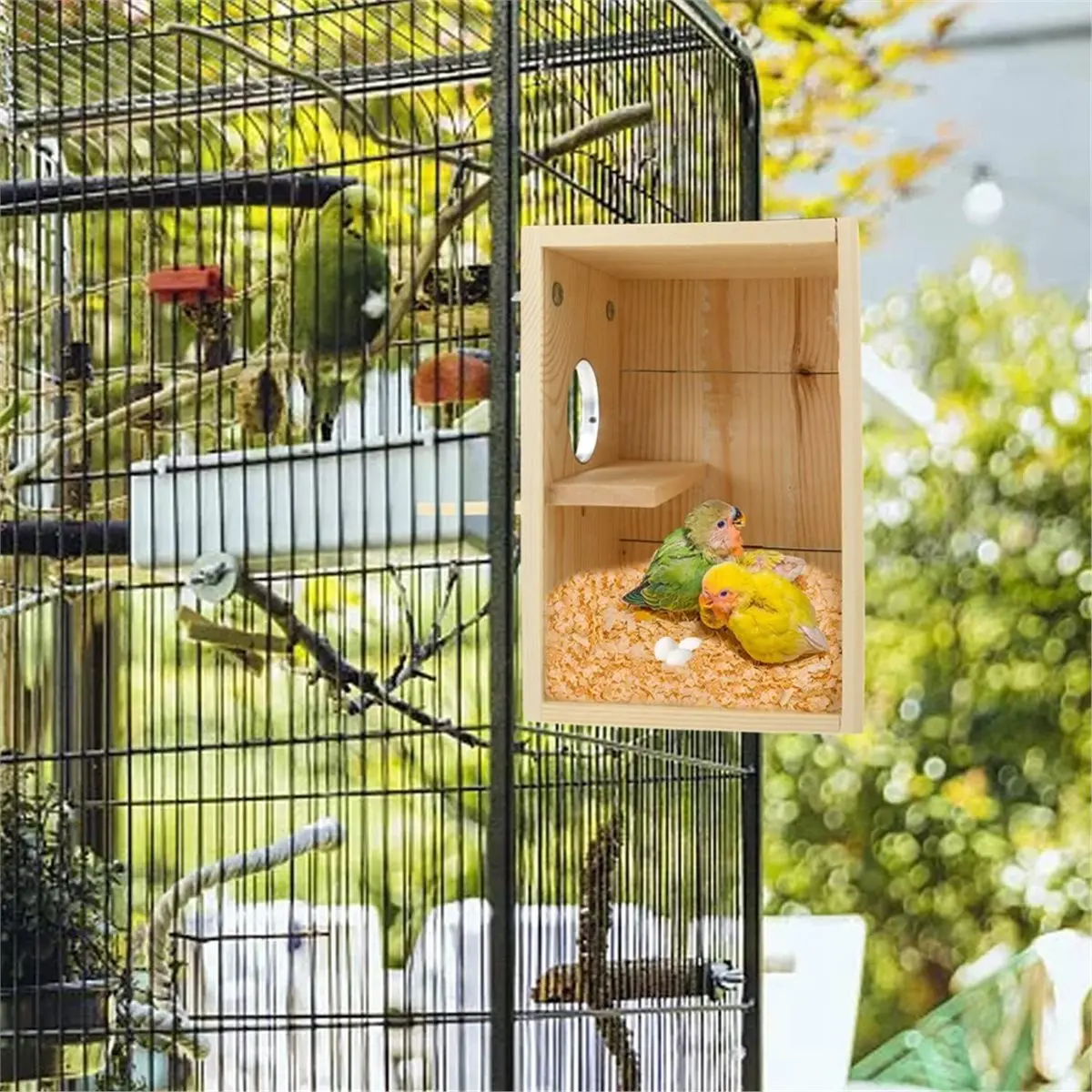 AA14 Bird Nest Box Parakeet Breeding Nest Box Bird Nest House Wooden Acrylic Transparent Breeding Box for Cockatiel