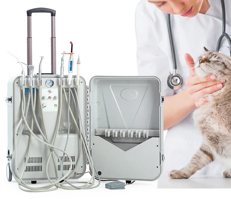 Vet Use 2025 Unidades den--tales Suction HR-DP15 den--tal Equipment Mobile Suitcase Portable Veterinary den--tal Unit for Pet