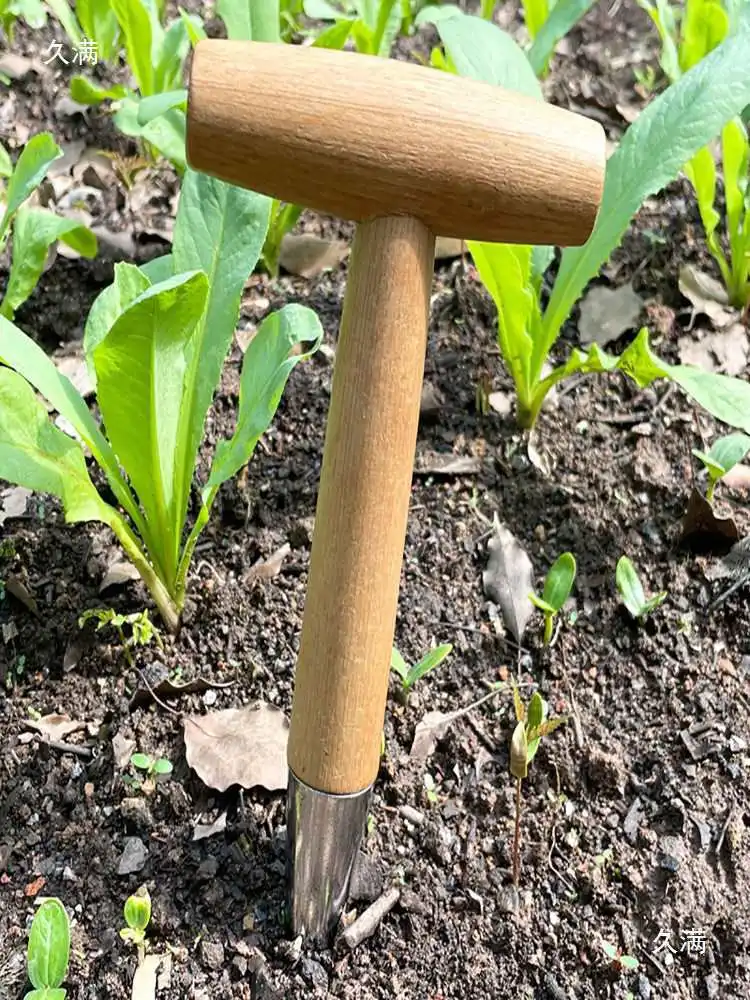 Sowing Hole Punching Gadget Wooden Handle Pointed Head Planting  Seeds Dressing Seedlings Succulent Transplanting Hole Puncher