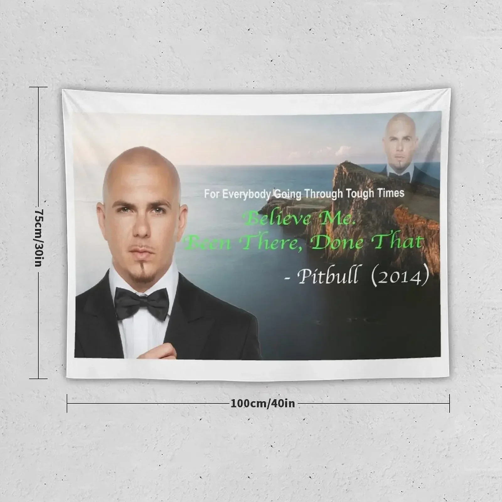 Pitbull's Been There Done That Tapestry Room Design Kawaii Room Decor Wall Hanging Aesthetic Room Decors Tapestry