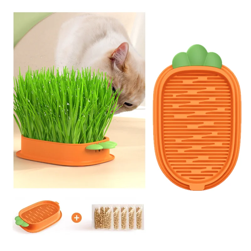 

New Pet Cat Sprout Dish Growing Pot Hydroponic Plant Cat Grass Germination Digestion Starter Dish Greenhouse Grow Box