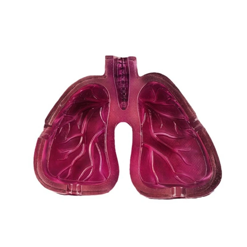 

Decorative Ashtray with Distinctive Human Lungs Enhances Your Environment