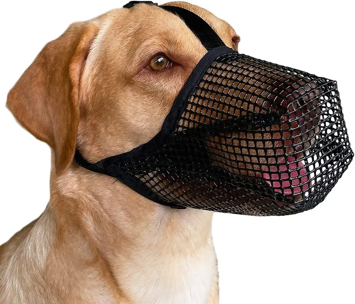 #35 Pet Muzzles Comparison Guide