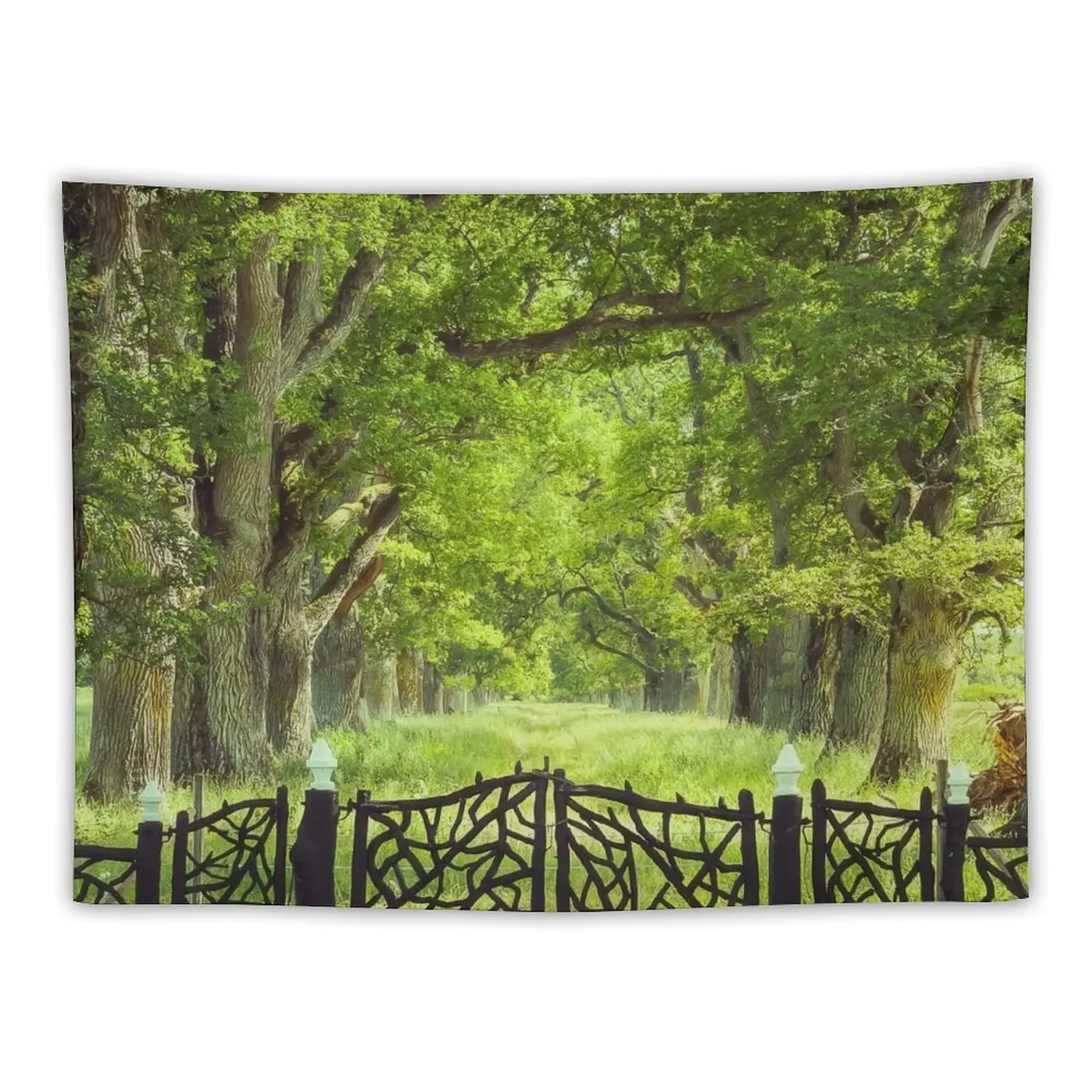 

Oak Trees & Old Gate Tapestry House Decor Tapete For The Wall Home Decoration Accessories Tapestry