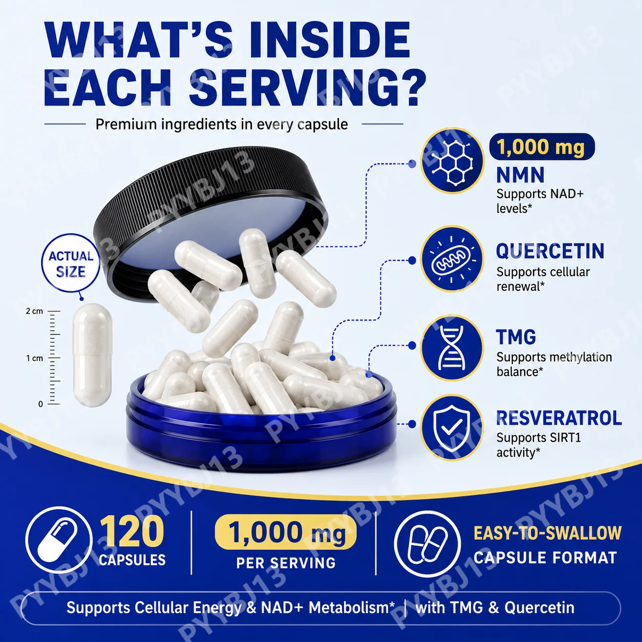 ArtoaLabs NMN Capsules 1000mg  - Wellness Quercetin review and price