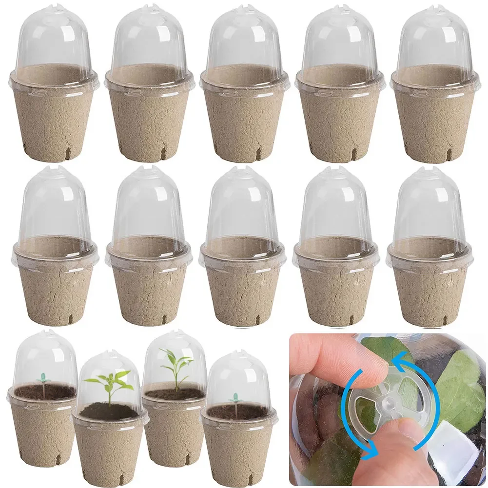 10Pcs Seedling Cup Seedling Pot Transparent Lid Germination Planter Biodegradable Plant Growing Cup Versatile Gardening Supplies