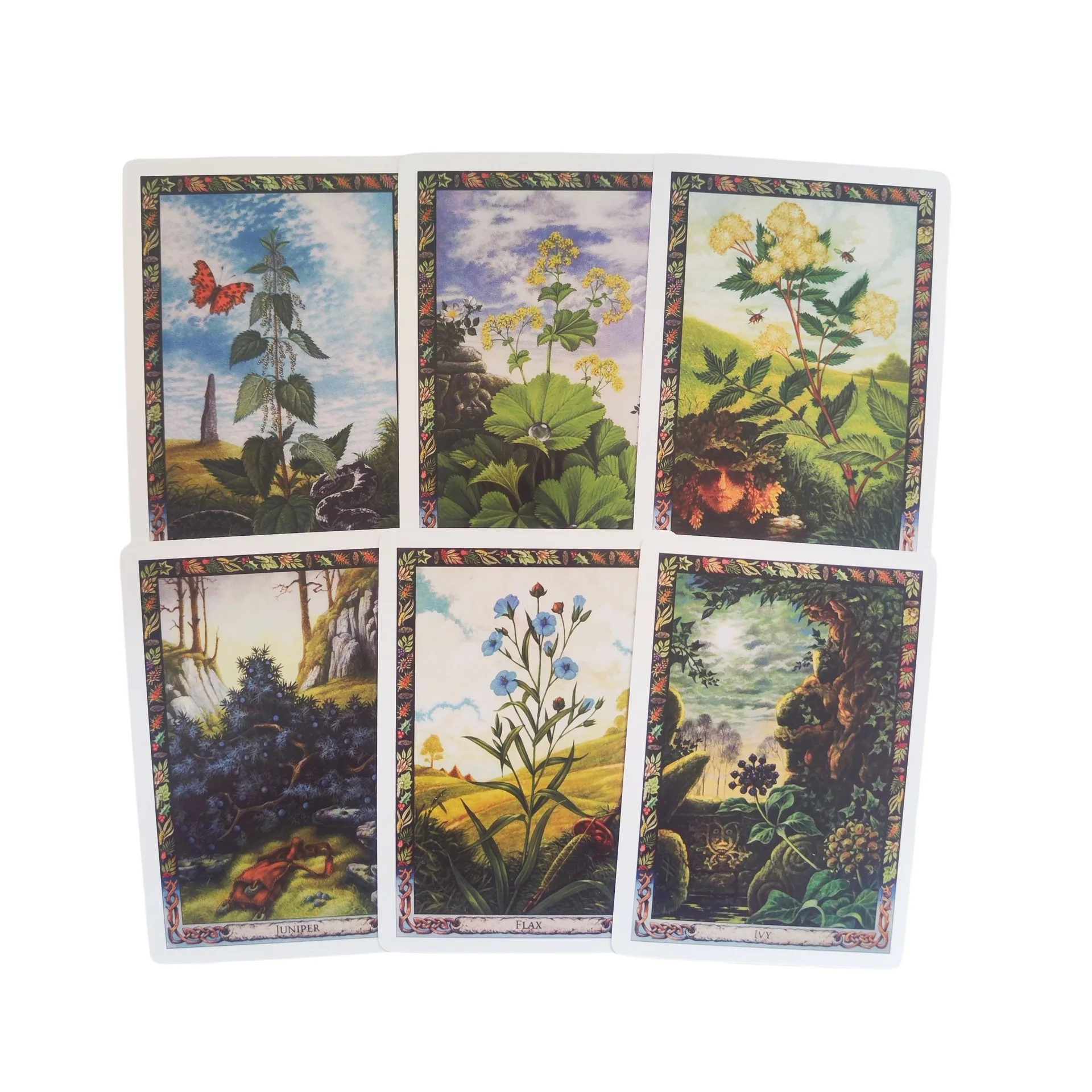 The Druid Plant Oracle Cards 36 Sheet English Version Divination Board Game Tarot Cards for Plant Enthusiasts