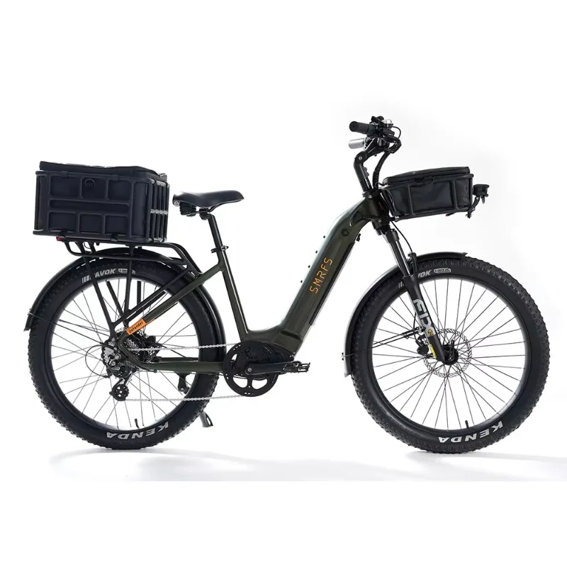 Custom Electric Bicycle 48v 750w Mountain Ebike Fat Tire Electric Bike for RVers