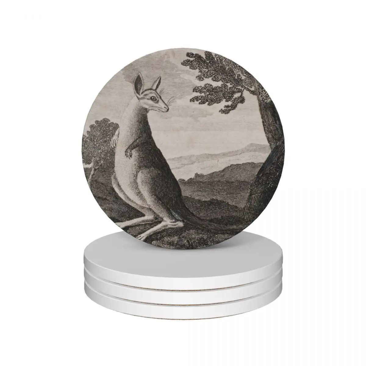 

Vintage kangaroo print. (1790 - 1800) Ceramic Coasters (Set of 4) personalize slate Coasters