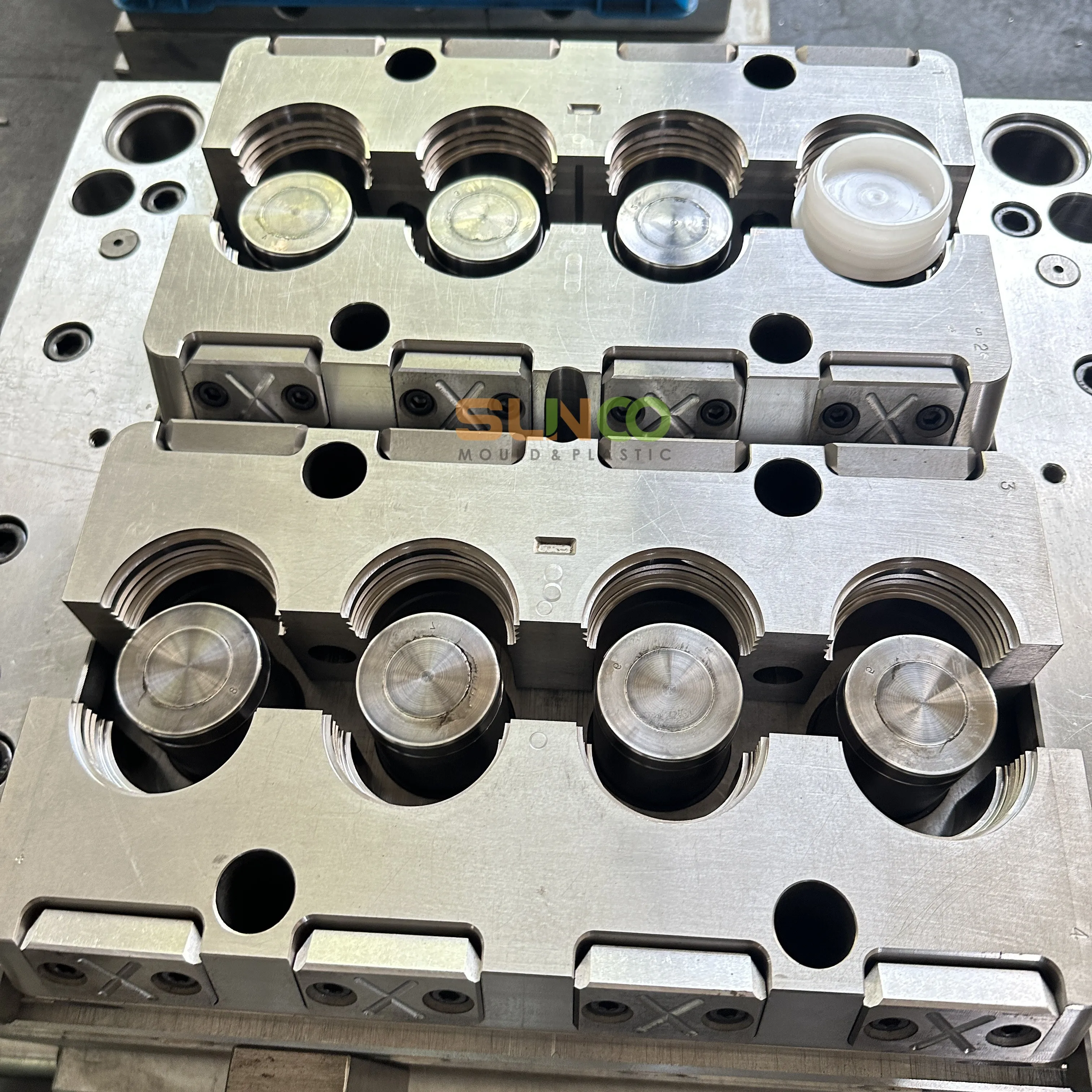 ized Plastic   Molding Plastic   Mould Mold for Cap
