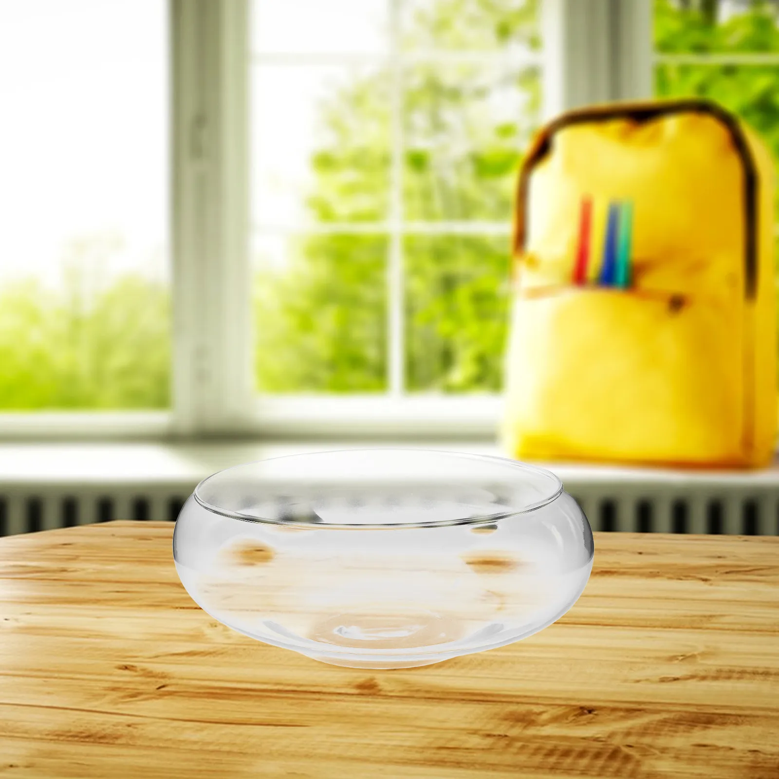 Glass Hydroponic Planter Bowl for Succulents Money Plants Daffodils Transparent Root Observation Decorative Aquarium Fish Tank - view 3