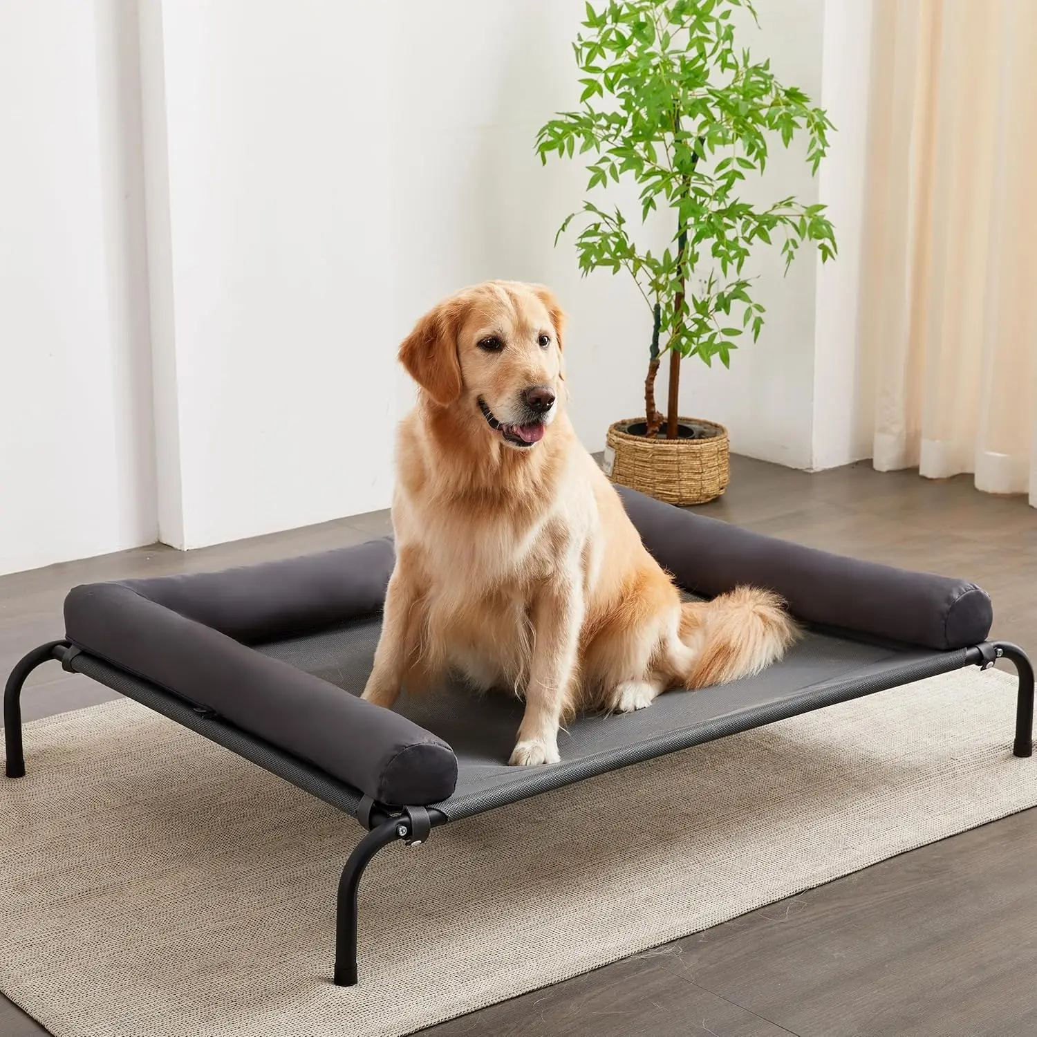 

Elevated Dog Bed with U-Shaped Pillow, Portable Washable Raised Cot, Chew Proof Mesh & Metal Frame, Non-Slip Feet for Indoor/Outdoor, X-Large, Grey