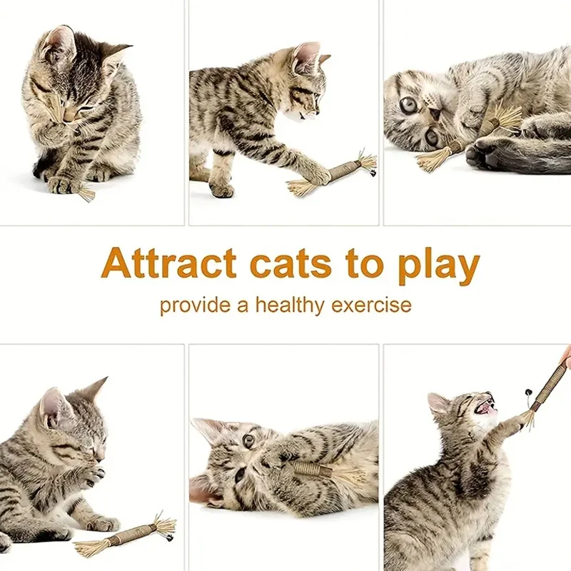 1/3 pcs cat toy silver vine branch kitten snack interactive sports pet clean teeth toy! Cat Grinding Stick Toy Polygonum