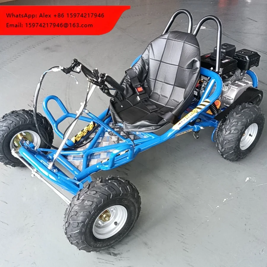 

Chain Drive 196CC 45KM/H Air Cooled Children Junior Adults Outdoor Drifting Go Karts