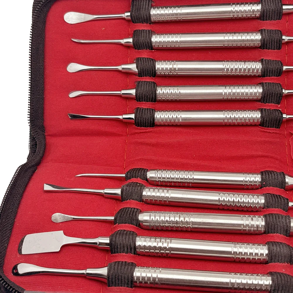 

10Pc Double-Ended Dental Implant Periosteal Elevator Set Surgical Tools Premium Dental Supplies Bone Surgery Instruments