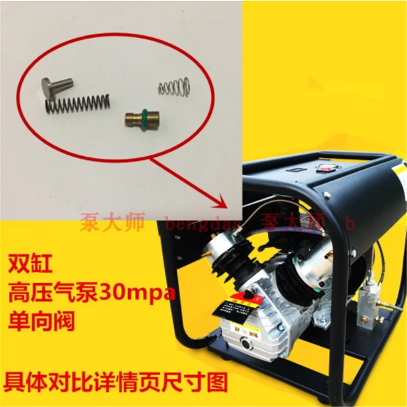TXED01 4500Psi 300Bar 30Mpa PCP Air Compressor Check Valve High Pressure Pump Accessories One Way Valve