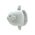 ocean sunfish