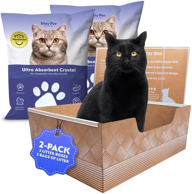 

Leakproof Disposable Cat Litter Box with 6 lbs Litter, Odor Control & Recyclable Design for Travel and Multi-Cat Homes