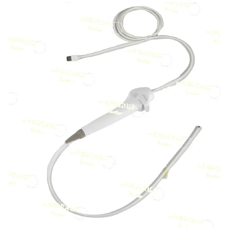 

Для 2024 носогарyngoscope Китай Besdata портативный низкая цена Гибкая эндоскопия 3,8 мм HD риноларингоскоп для осмотра