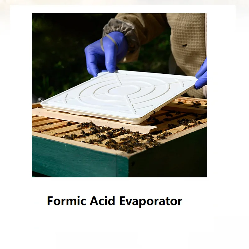 2PCS Formic Acid Evaporator Formic Acid Varroa Treatment Plastic Formic Acid Dispenser Beekeeping Treatment Tray for Beehive
