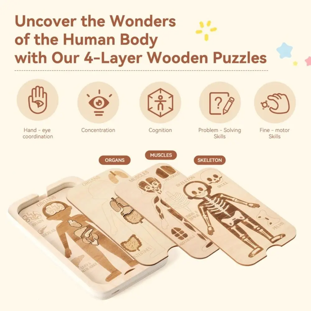Jigsaw Design Montessori Jigsaw Puzzle Human Structure Organ Model Anatomy Organ Puzzle Learning Educational Human Structure Toy