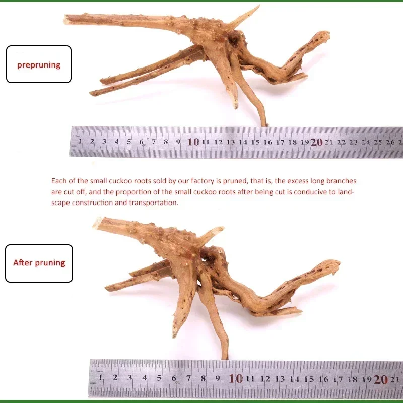 زينة خزان الأسماك الخشبية الطبيعية جذع النبات جذع شجرة دريفتوود شجرة حوض السمك الأسماك المناظر الطبيعية جذور شجرة الحلي #6