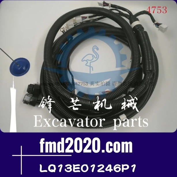 توريد حفارة SK200-8، 210-8 محرك لوحة الكمبيوتر الأسلاك تسخير LQ13E01246P1 حفارة