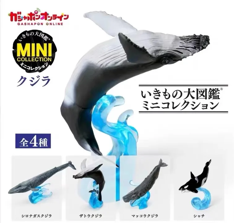 Capsule Toys Biographical Illustrated Marine Life Dolphins Killer Whales Humpback Whales Sperm Whales Action Figure Model Toys