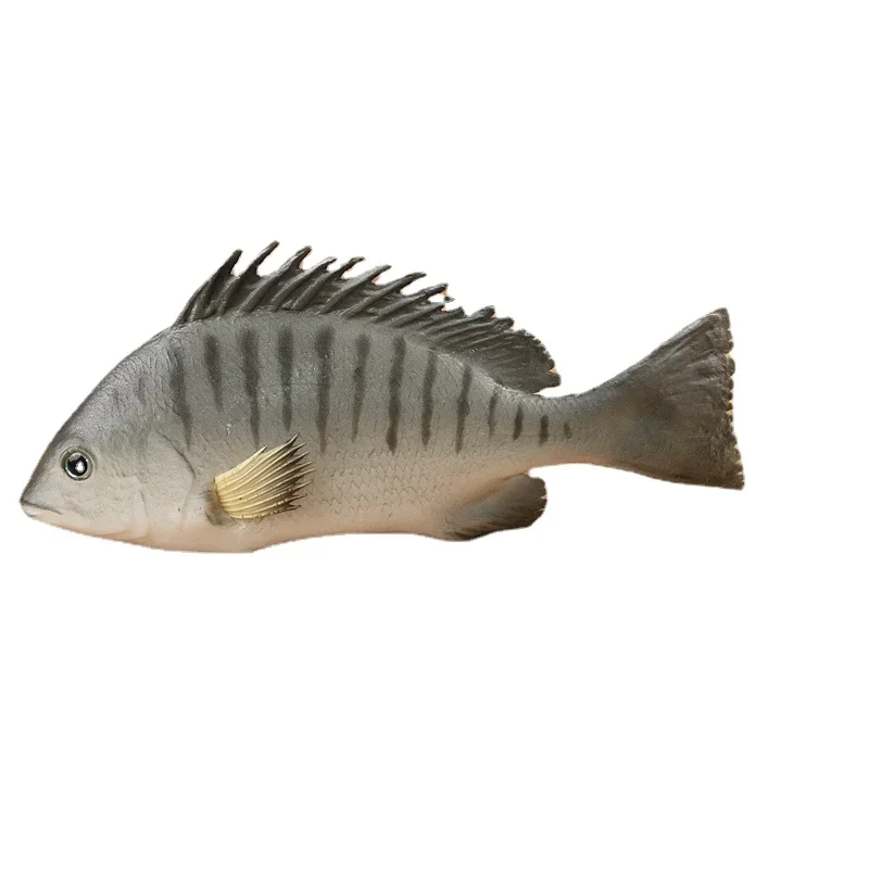 1pc Simulation Fish Carp Bass Sea Cucumber Food Model Props Window Exhibition Hall Decoration Hotel Restaurant Dishes Display