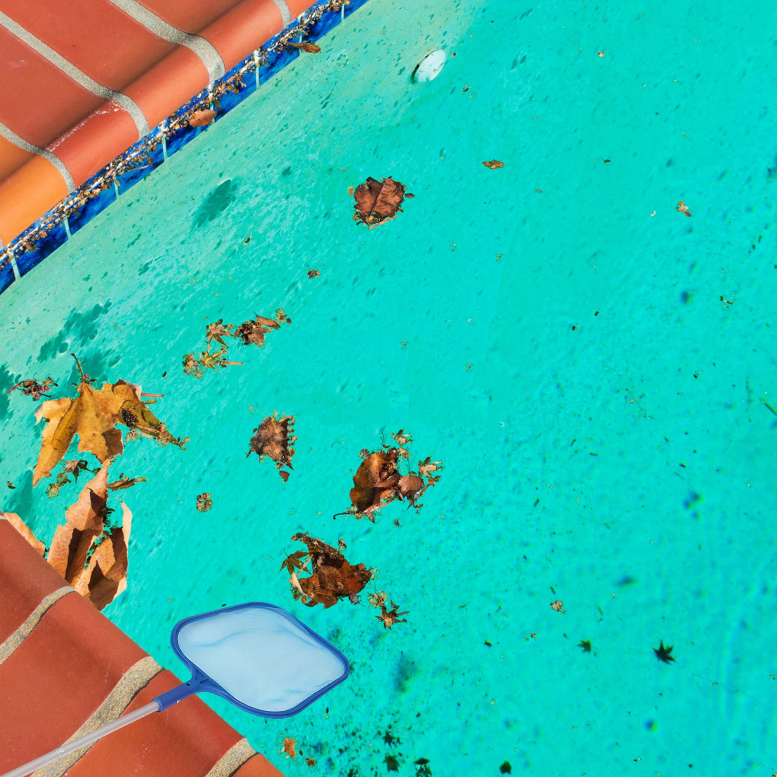 

1Set Pool Cleaning Leaf Net Premium Quality Lightweight for Swimming Pool Pond Skimmer Tool Fine Mesh Debris Remover