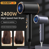 Professional Hair Dryer Hot Cold Wind Air Brush Hairdryer Negative Lonic Blow Dryer Strong PowerDryer Salon Tool 2400W 3th Gear