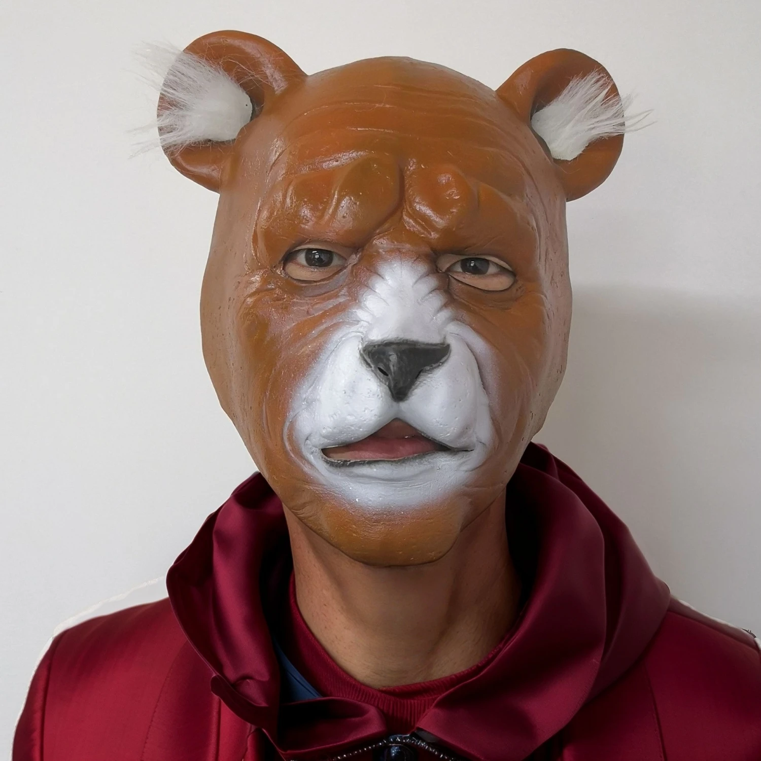 

Adult Moving Mouth Rubber Bear Face Mask Funny Latex Animal Cosplay Mask Cross-Dressing Party Accessory
