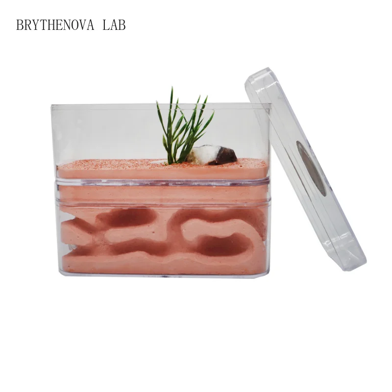 Highly Moisturizing Ant Farm Plaster Ant Nest Insect Box Workshop Pet Anthill Castle Ecological Natural House 12*6*10cm
